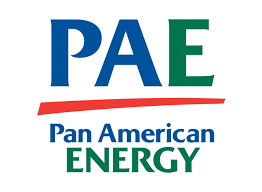 panamericaenergy-bridas